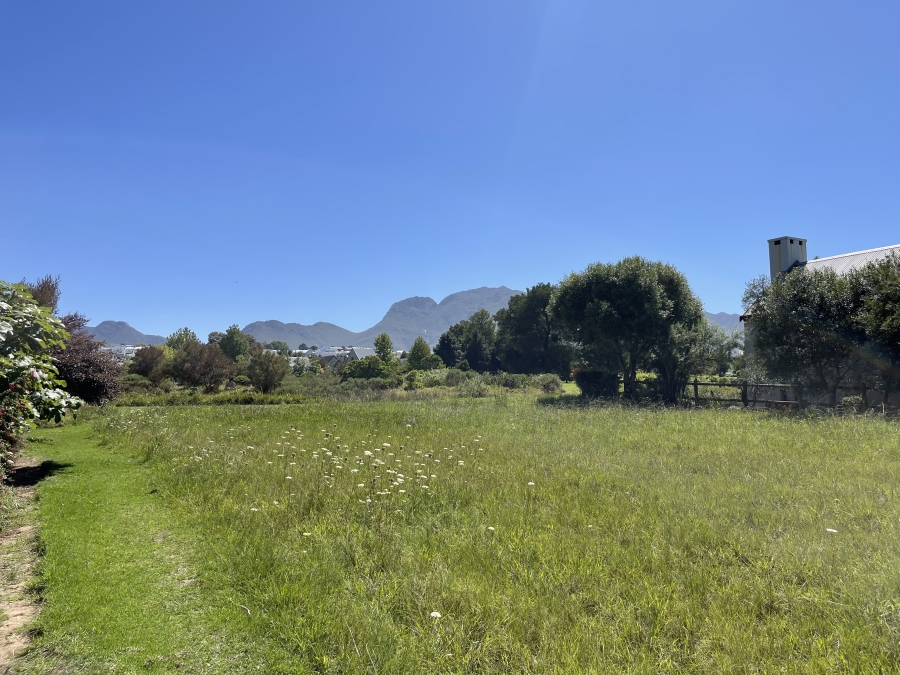 0 Bedroom Property for Sale in Soeteweide Country Estate Western Cape